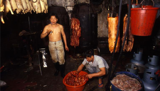 Illustration for article titled Cómo era vivir en la salvaje Kowloon, la
ciudad sin ley con la mayor densidad de población del planeta